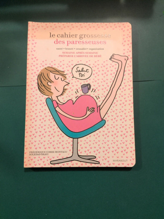 Le cahier de grossesse des paresseuses , semaine après semaine préparer l'arrivée de bébé