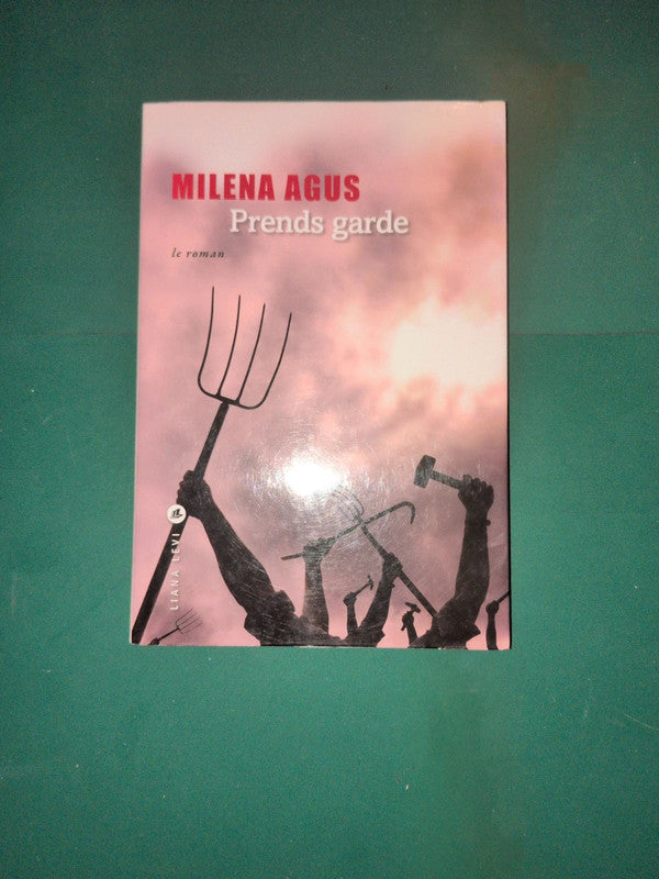 Prends garde - le roman - l'histoire :  Milena Agus