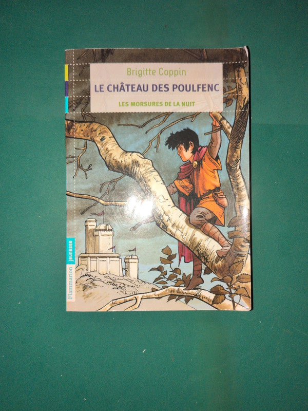 le château des poulfenc
les morsures de la nuit , Brigitte Coppin