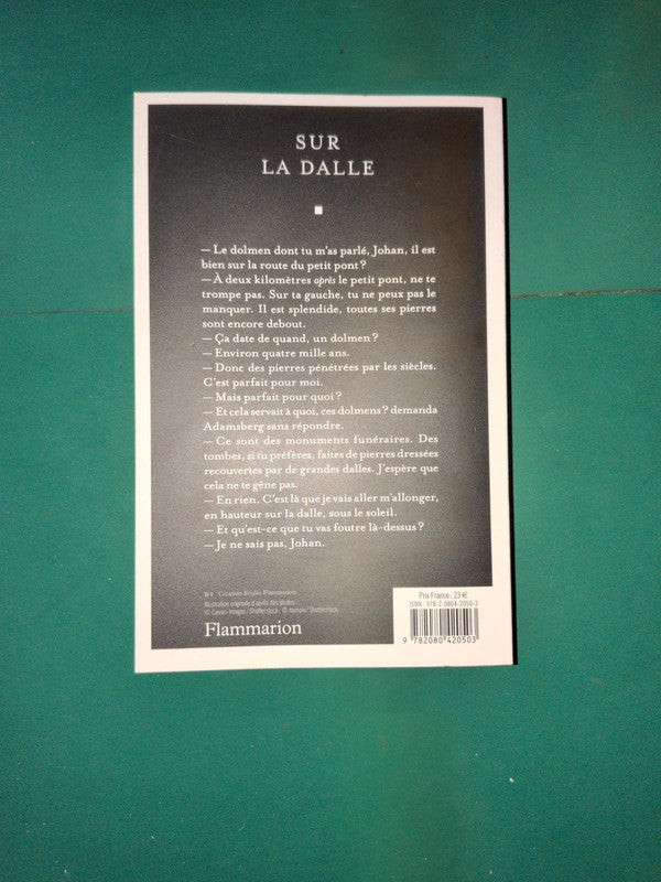 Sur la dalle , Fred Vargas