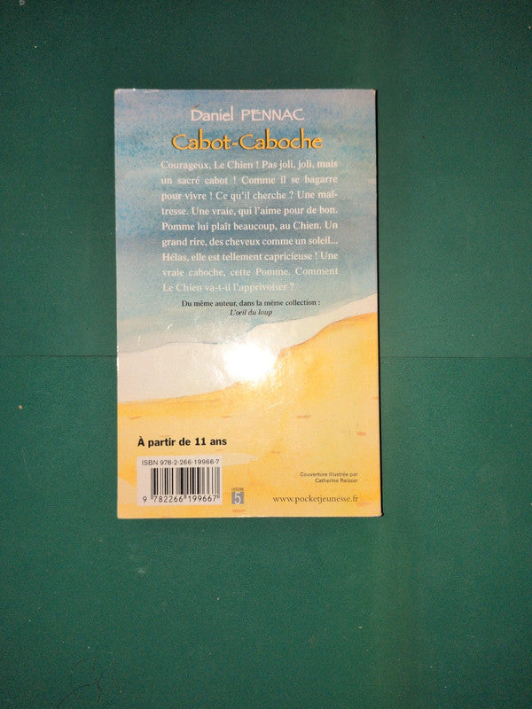 Cabot-Caboche , Daniel Pennac