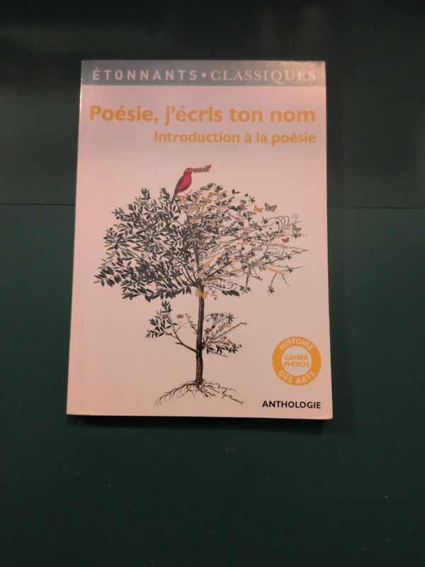 Poésie, j'écris ton nom
, Introduction à la poésie