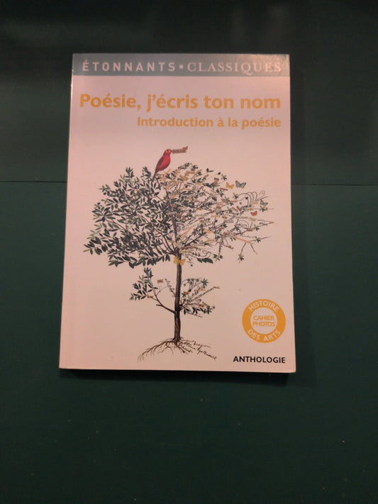 Poésie, j'écris ton nom
, Introduction à la poésie