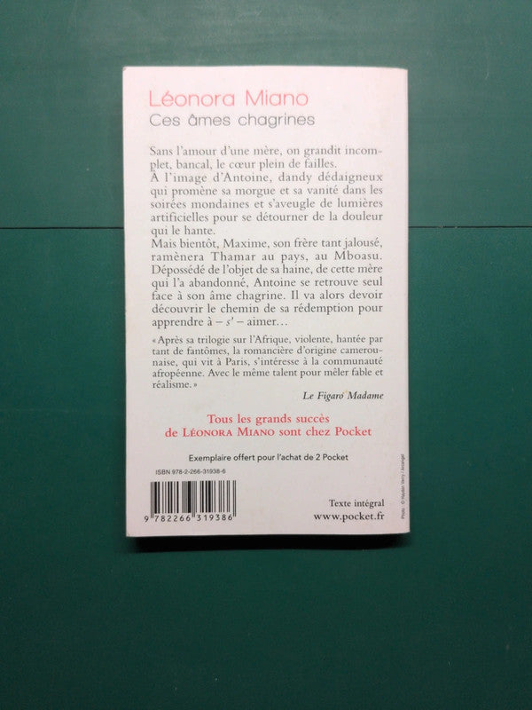 Ces âmes chagrines , Léonora Miano