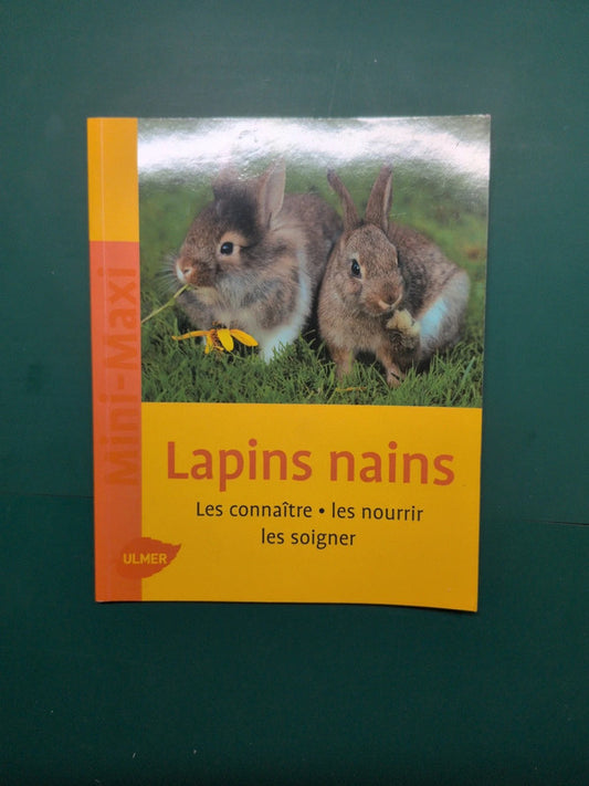 Lapins nains : les connaître, les nourrir, les soigner