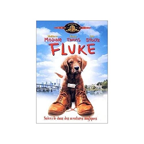Fluke, 