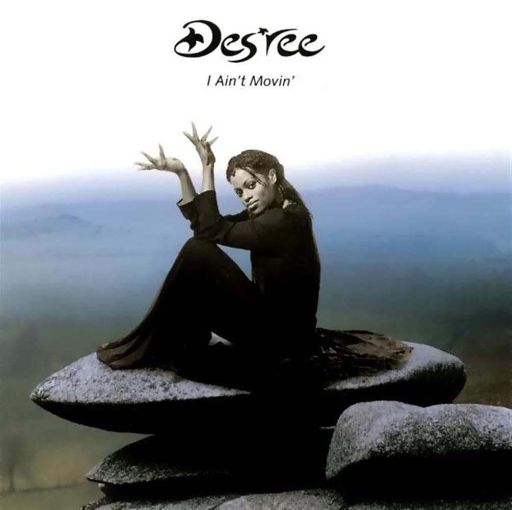 I Ain't Movin', Des'ree