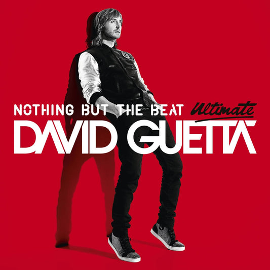 Nothing But the Beat, David Guetta