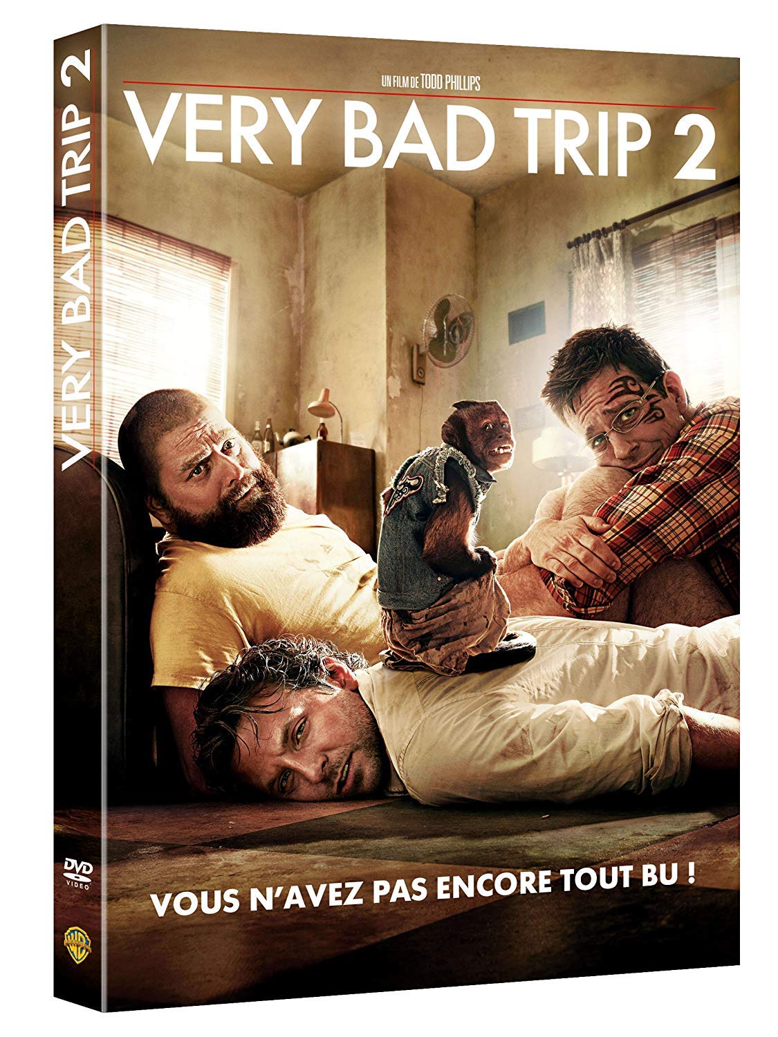 Very Bad Trip 2, 