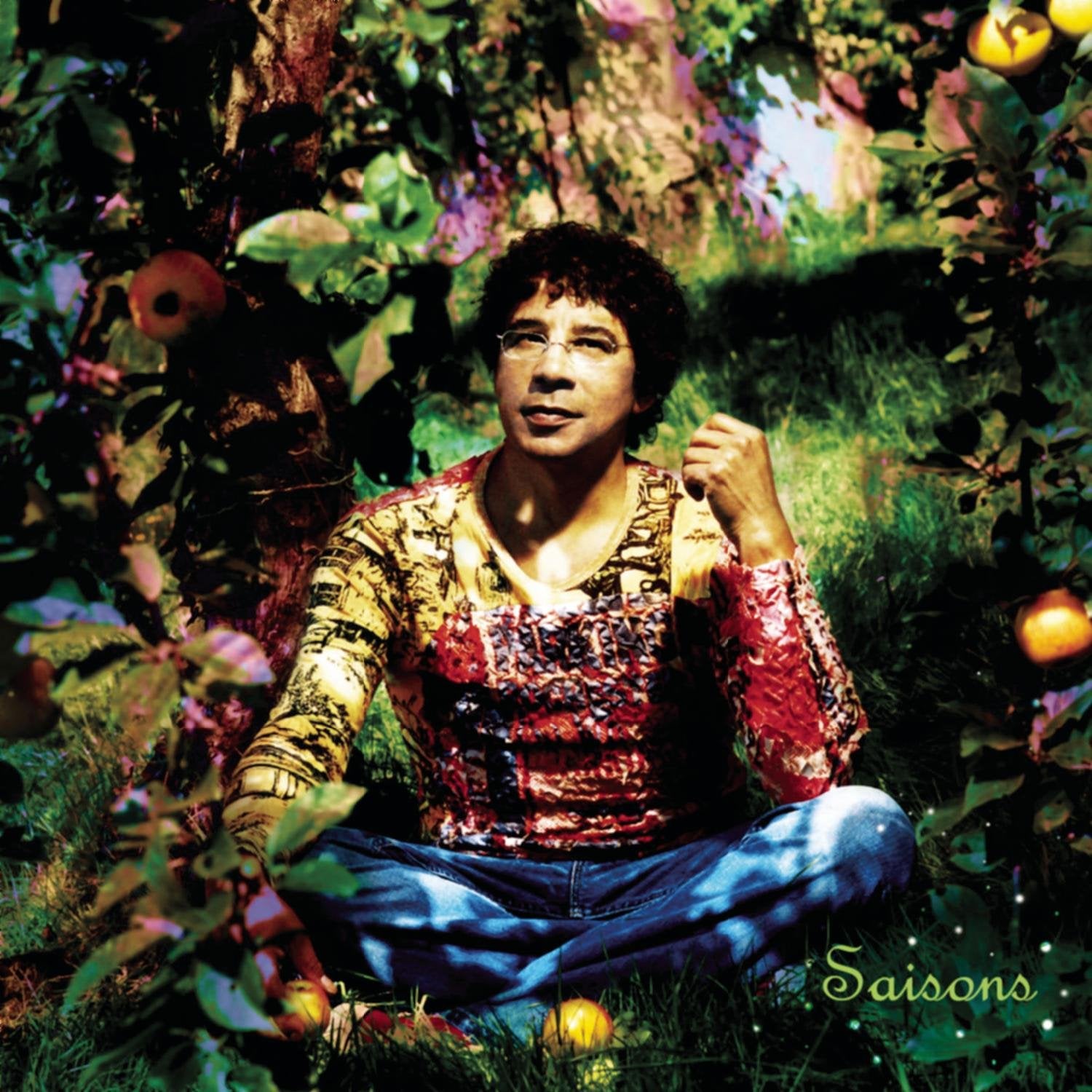 Saisons - Best of, Laurent Voulzy