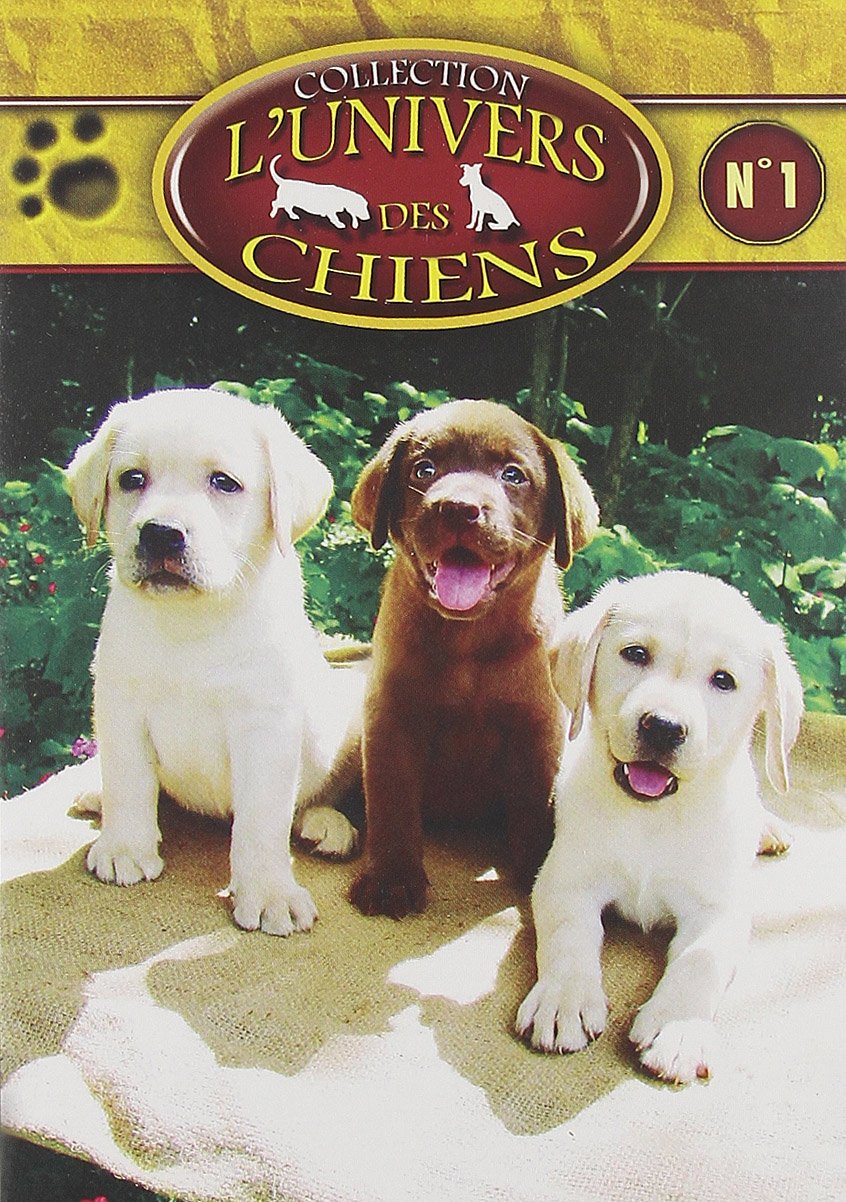 L'Univers des chiens N°1, 
