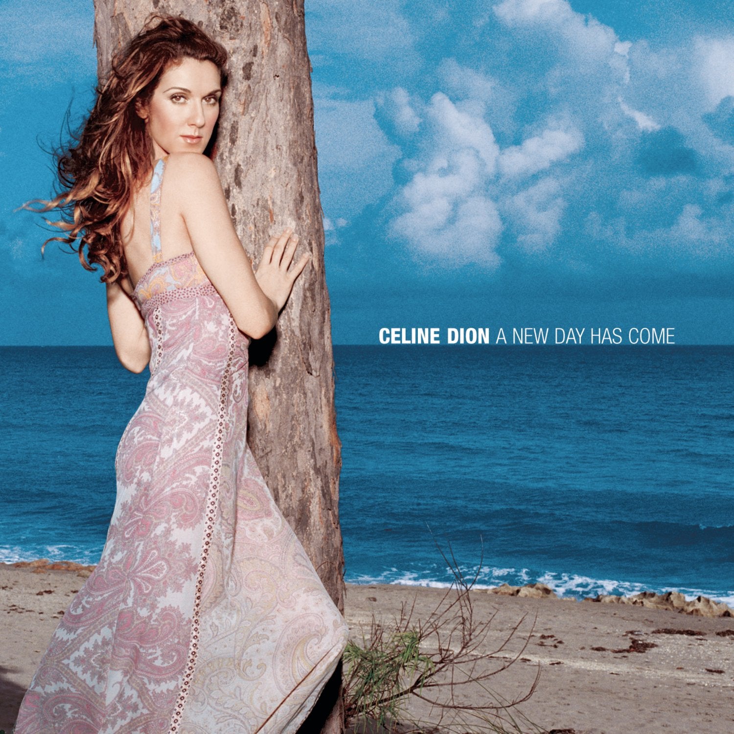 New Day Has Come, Celine Dion