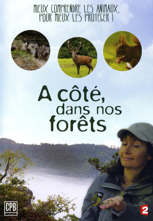 A côté dans nos forêts, 