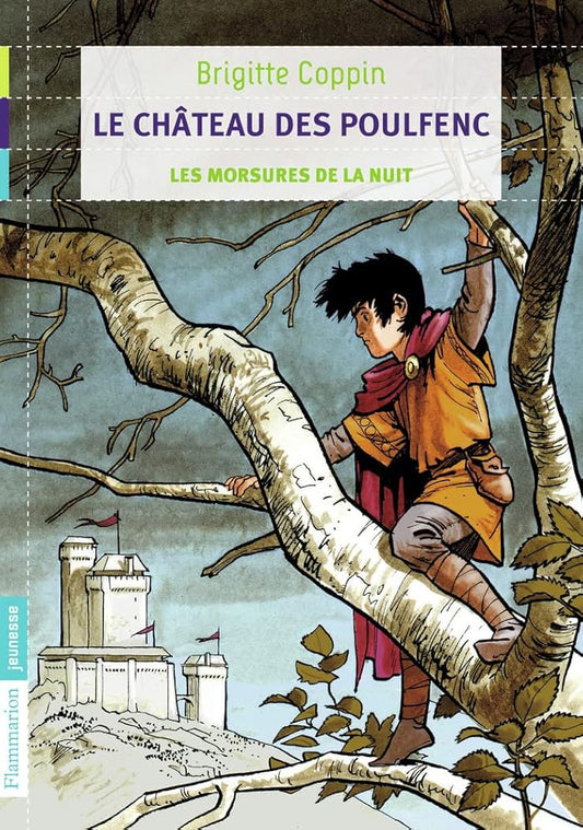 Le château des Poulfenc: Les morsures de la nuit (1) cover image