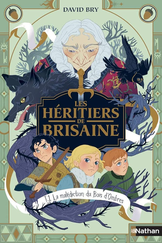 Les Héritiers de Brisaine - La malédiction du bois d'Ombres - tome 1/5 - Roman Fantasy dès 9 ans cover image