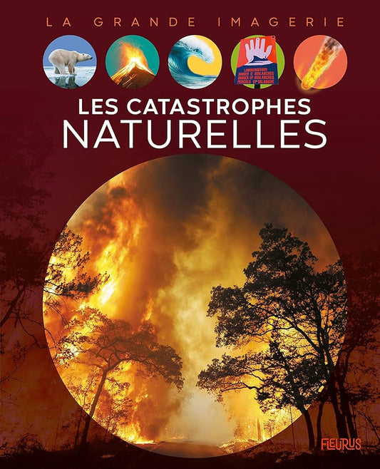Les catastrophes naturelles cover image