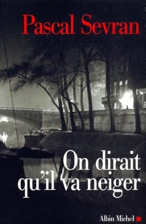 On dirait qu'il va neiger cover image