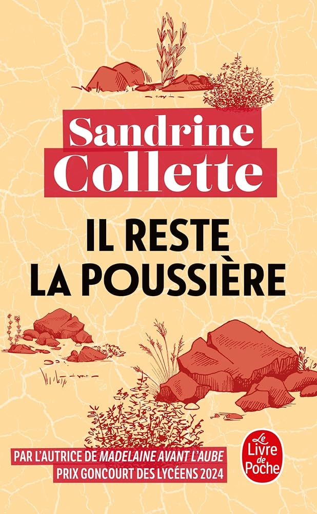 Il reste la poussière cover image