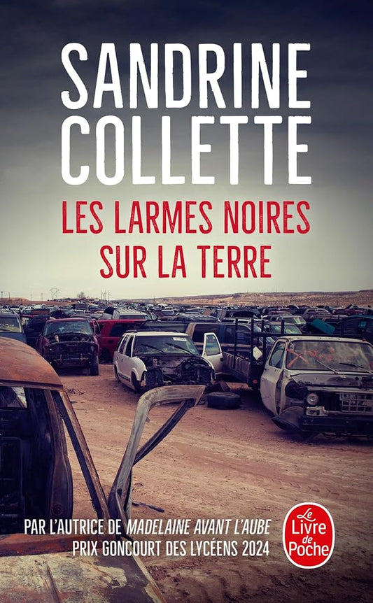 Les Larmes noires sur la terre cover image
