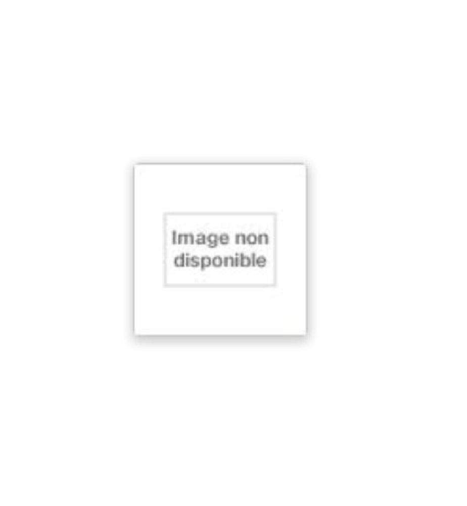 La Princesse de Thèbes, tome 1 : La Pharaonne cover image