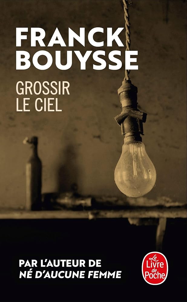 Grossir le ciel cover image