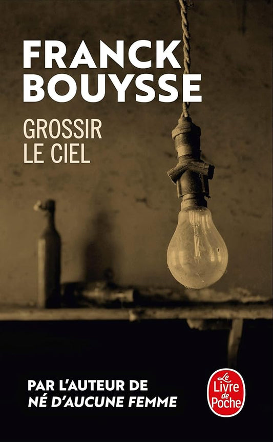 Grossir le ciel cover image