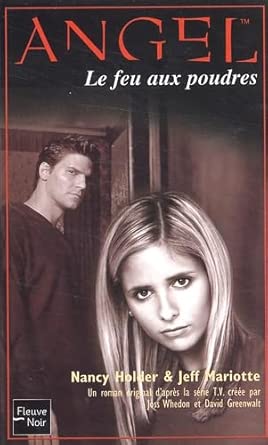 Angel, tome 11 - Les Guerriers de l'ombre : Le feu aux poudres cover image