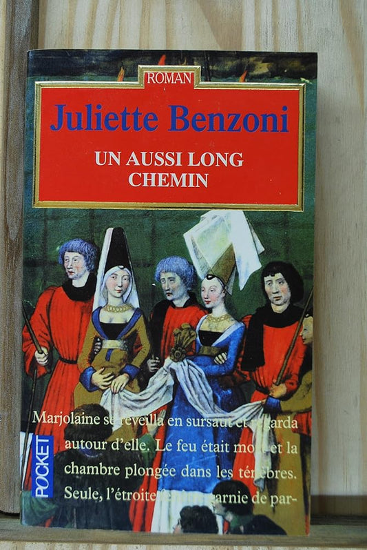 AUSSI LONG CHEMIN cover image