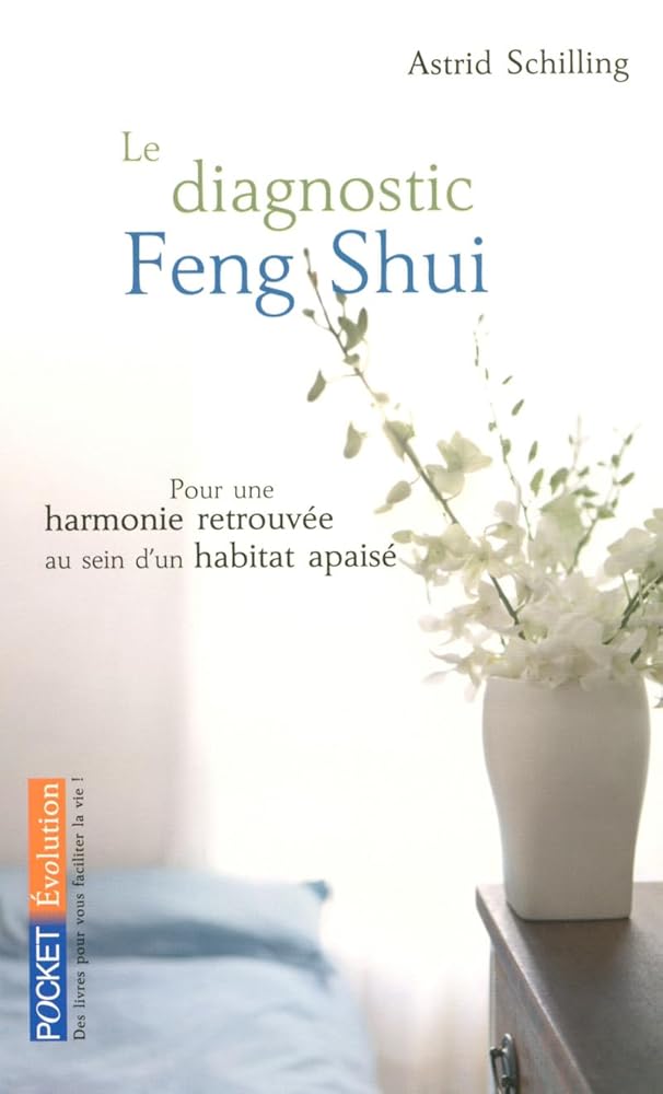 Le diagnostic Feng Shui cover image
