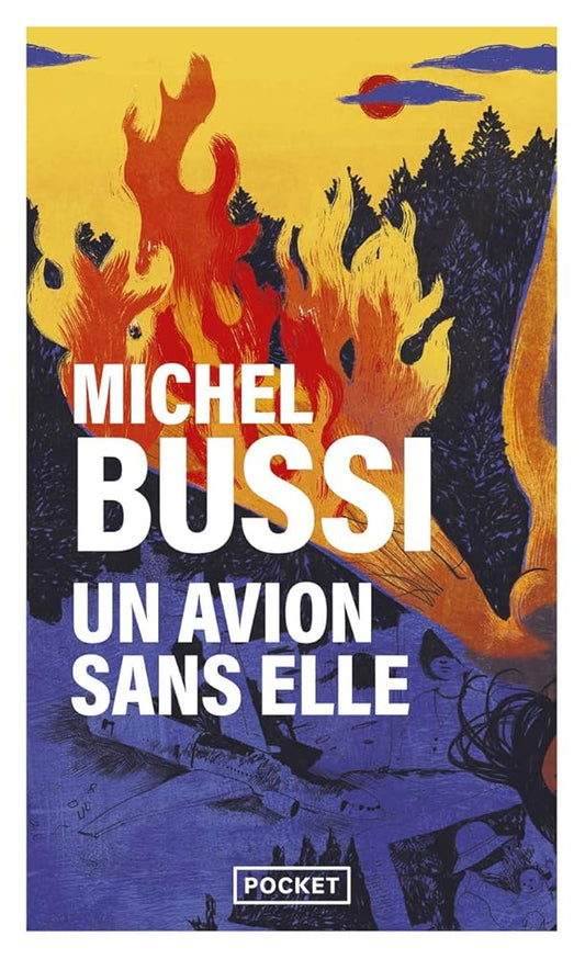 Un avion sans elle - Prix Maison de la Presse 2012 cover image