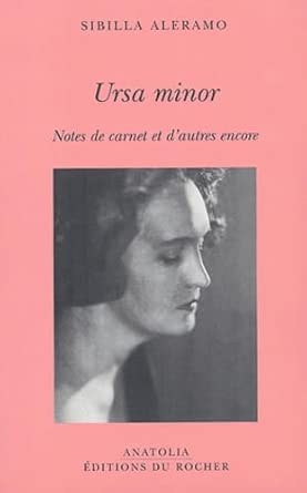 Ursa minor : Notes de carnet et d'autres encore cover image