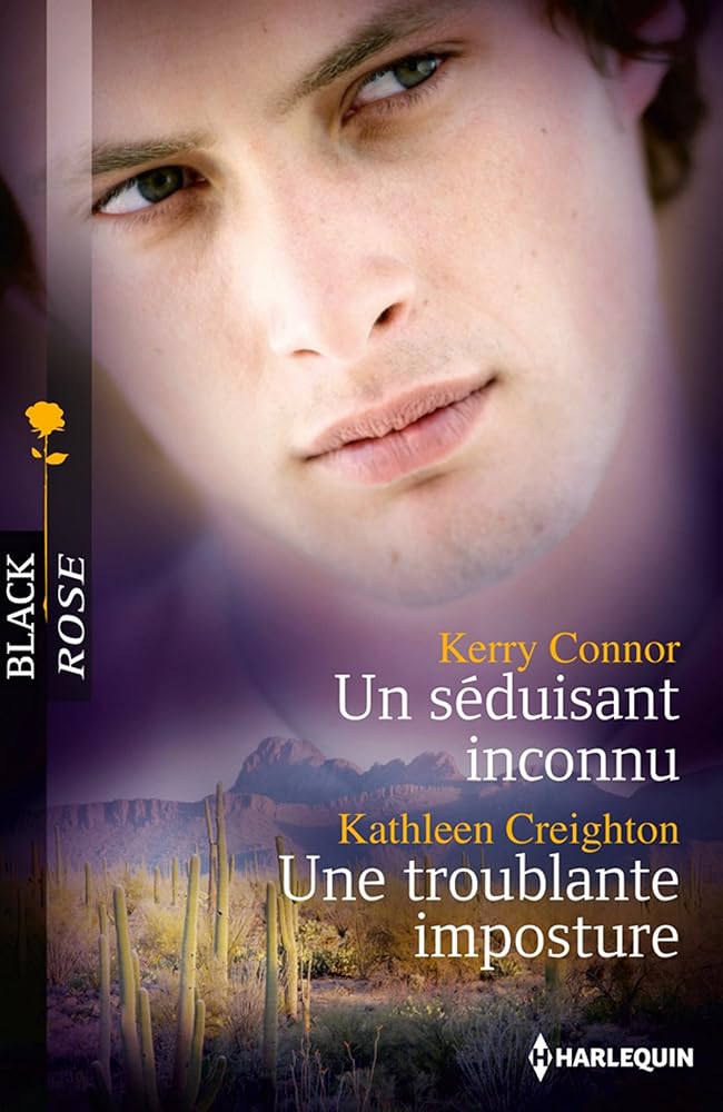Un séduisant inconnu ; Une troublante imposture cover image