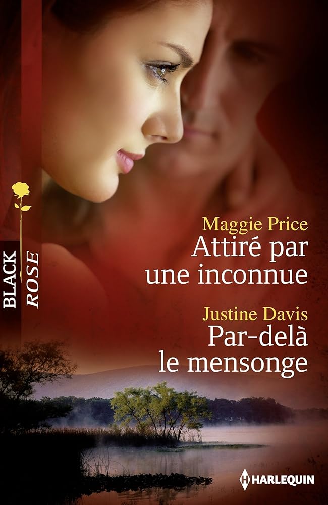 Attiré par une inconnue ; Par-delà le mensonge cover image
