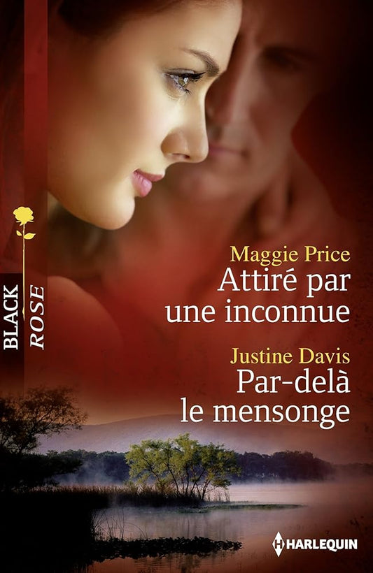 Attiré par une inconnue ; Par-delà le mensonge cover image