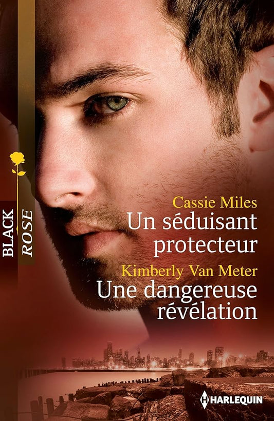 Un séduisant protecteur ; Une dangereuse révélation cover image