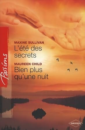 L'été des secrets ; Bien plus qu'une nuit cover image