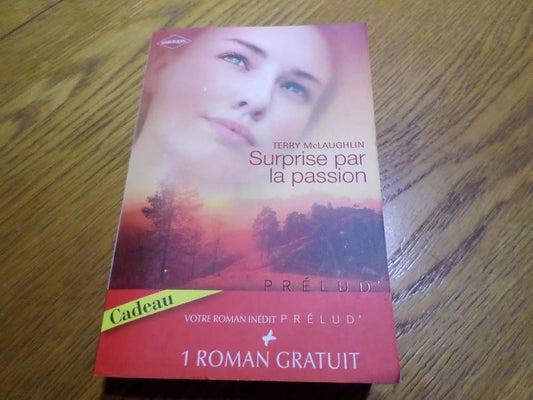 Surprise par la passion ; L'enfant de l'autre cover image