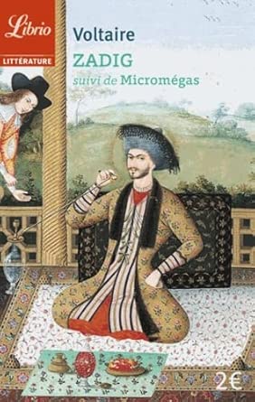 Zadig ou La destinée: Suivi de Micromégas cover image