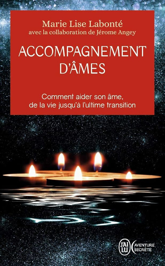 Accompagnement d'âmes: Comment aider son âme, de la vie jusqu'à l'ultime transition cover image
