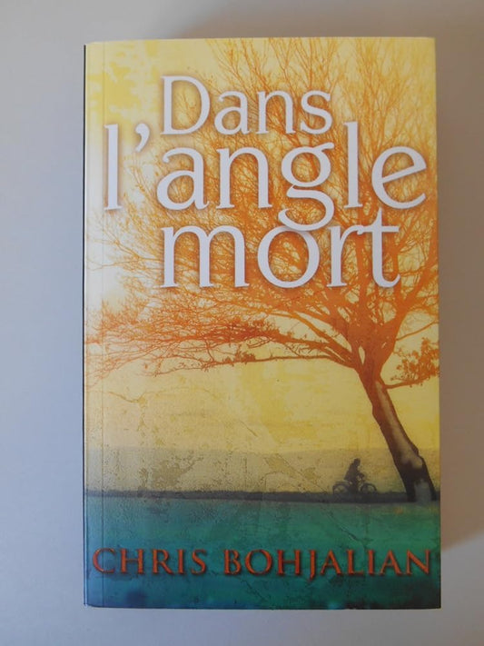 Dans l'angle mort cover image