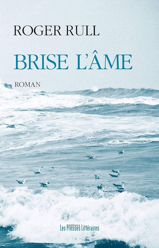 Brise l'âme cover image