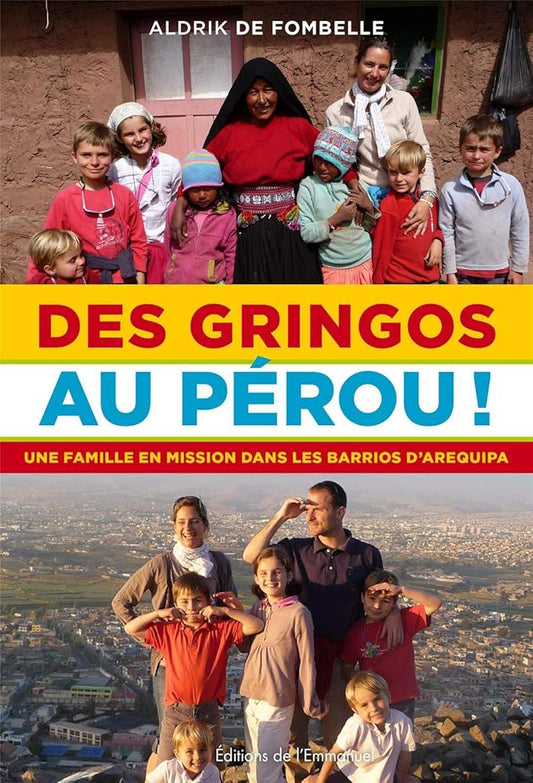 Des gringos au Pérou cover image