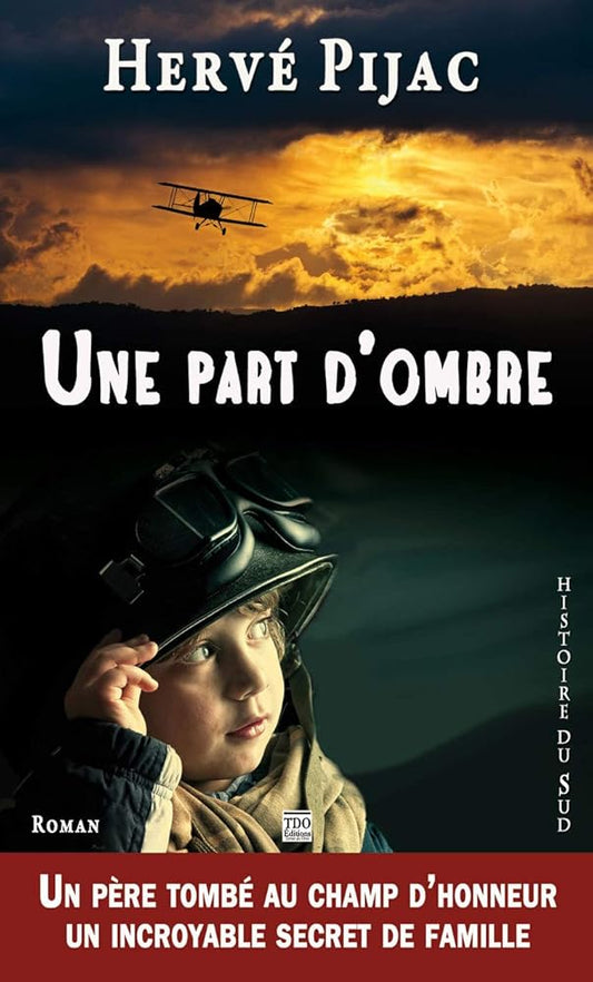 Une part d'ombre, la grande guerre inachevée: roman historique cover image