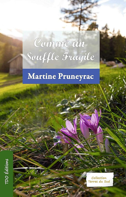 Comme un souffle fragile cover image