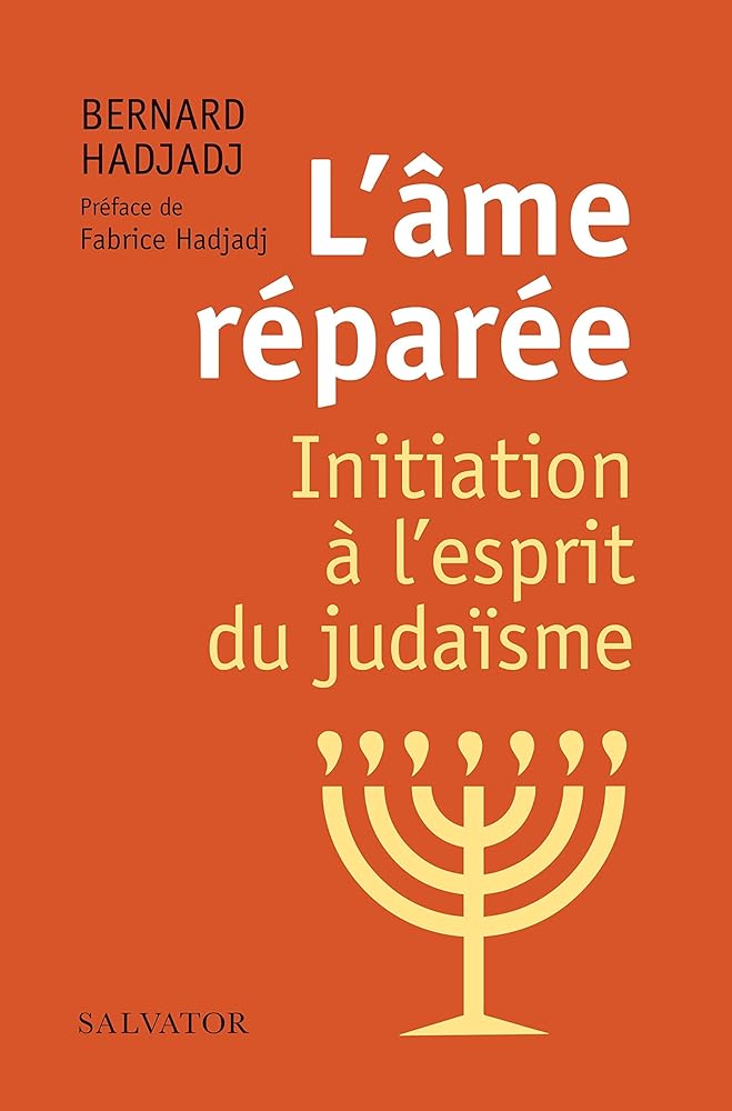 L´âme réparée. Initiation à l'esprit du judaïsme cover image