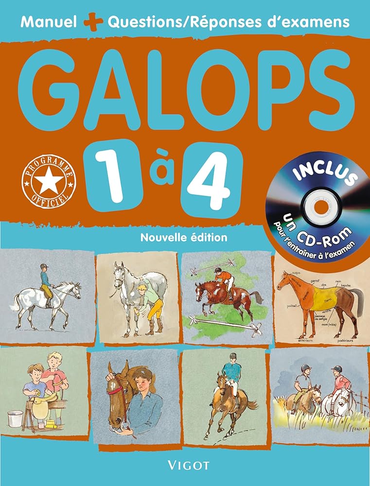 Galops 1 à 4: Manuel des examens d'équitation cover image