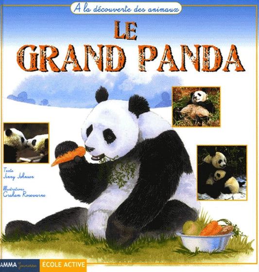 Le grand panda cover image