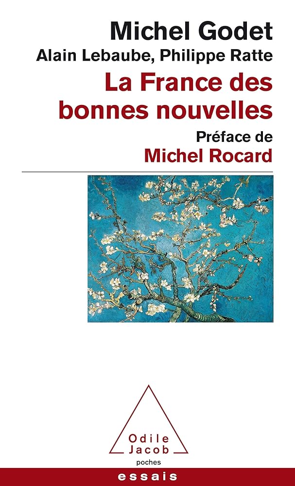 La France des bonnes nouvelles: Préface de Michel Rocard cover image