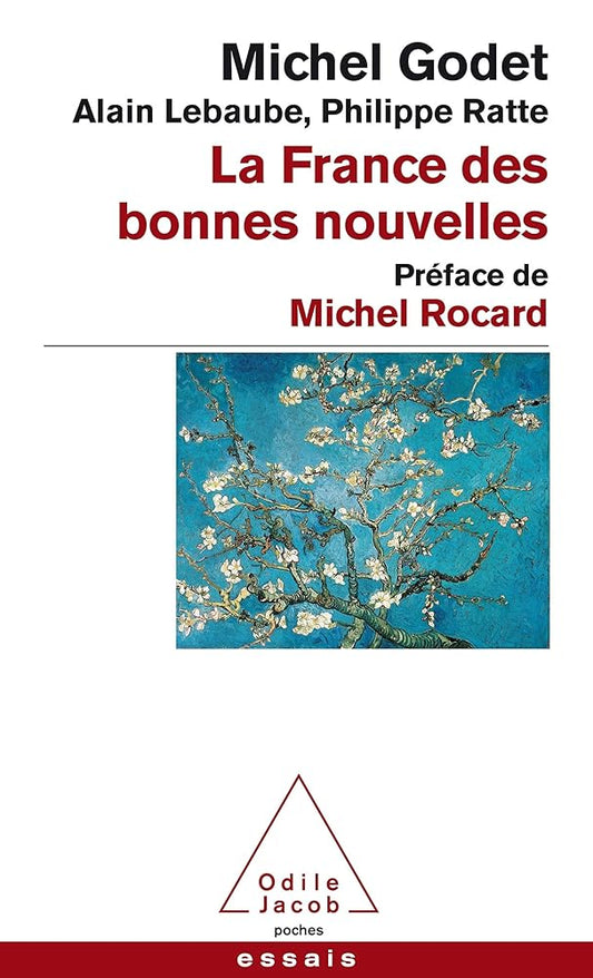 La France des bonnes nouvelles: Préface de Michel Rocard cover image