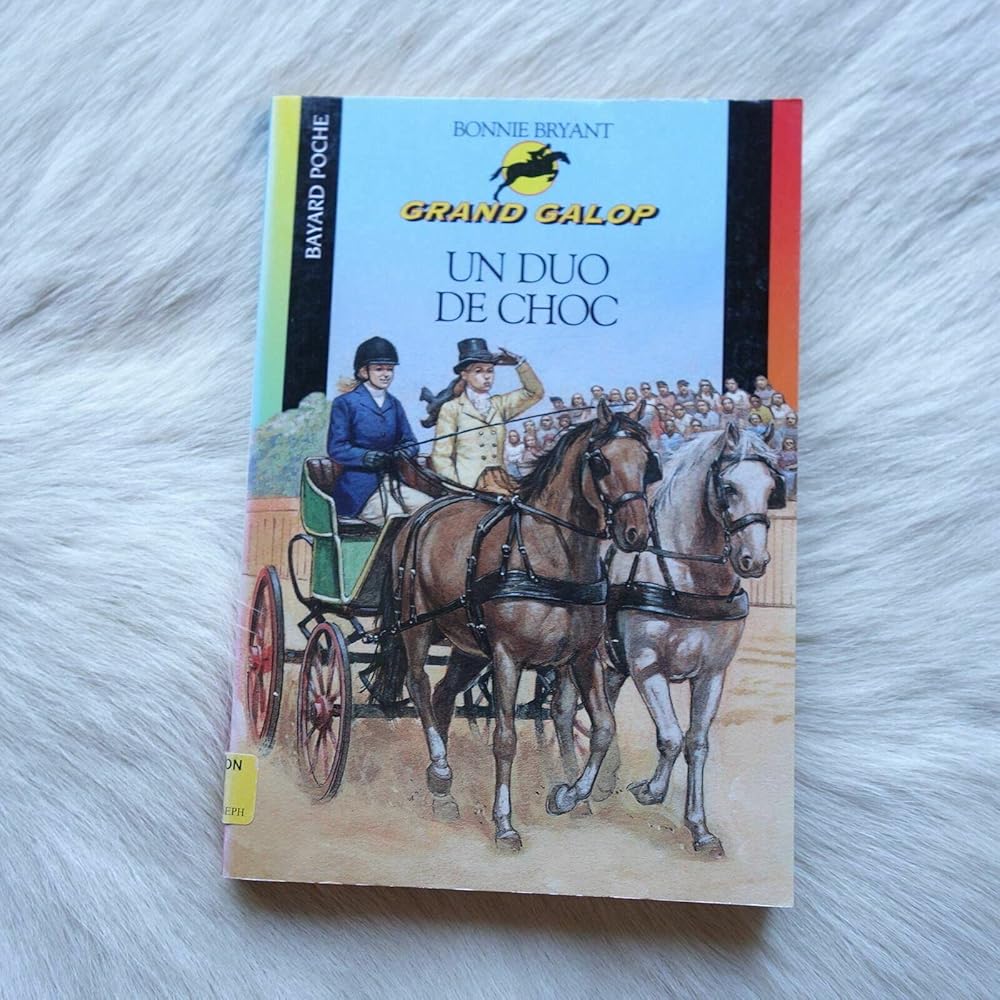 Un duo de choc cover image